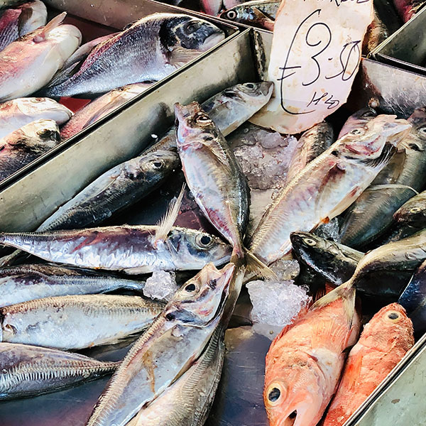 pescado-marisco-fresco-2