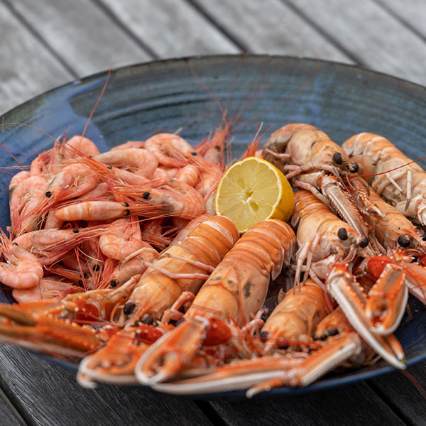 pescado-marisco-fresco-5